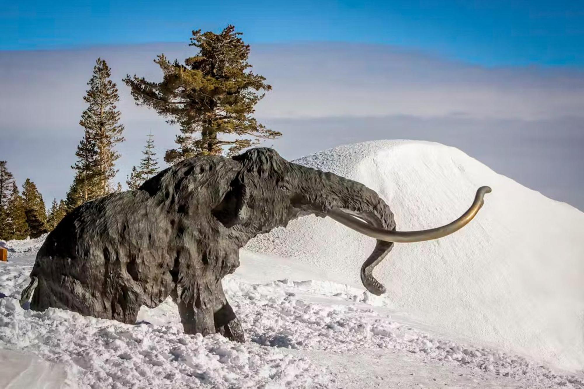 Lodestar Cabins Mammoth Lakes Zewnętrze zdjęcie